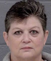 Robin Corson Felony Larceny Financial Card Theft