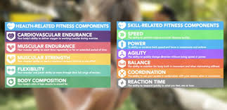 Refers to how hard you exercise. What Are The 10 Components Of Physical Fitness