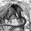 Beruseruku) is a japanese manga series written and illustrated by kentaro miura. 1
