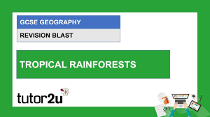 What are the rain forests names? Aqa Gcse Geography Revision Blast Tropical Rainforests 9 Mar 2021 Youtube