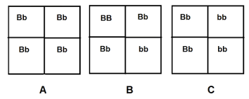 This pdf ebook is one of digital edition of. Heterozygous Dominant And Homozygous Recessive Cross
