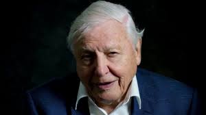 In this overview you will find all netflix movies and series starring david attenborough. David Attenborough A Life On Our Planet Trailer Youtube