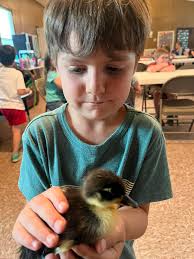 Bright Light Christian has a spot open in each learning group (K4/K5,  K5/1st, and 1st/2nd). We are having our Meet the Teachers this Saturday at  10am. Email me at brightlightclc@gmail.com for more