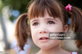 1,190 Frank Bunch Stock Photos, High-Res Pictures, and Images