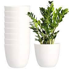 Youngever 8 Pack 5 5 Inch Plastic Planters Indoor Flower Plant Pots Modern Decorative Gardening Pot With Drainage For All House Plants Flowers Herbs Succulents And Hanging Plants White Buy Online In India