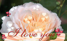 Maybe you would like to learn more about one of these? Flower I Love You Wallpaper Pixelstalk Net