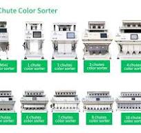 High Performance Sago Color Sorter Sago Color Sorting ...