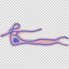 In rich countries with good vaccination campaigns it is hoped the next variants won't be able to pose a major problem due to widespread immunity. 2014 Guinea Ebola Outbreak Computer Keyboard Ebola Virus Disease Ebov Png Clipart 2014 Guinea Ebola Outbreak