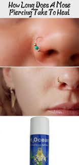 Those with a good immunity system may be lucky enough to heal within 3 months. How Long Does A Nose Piercing Take To Heal Piercing Any Type Of Pier Heal Long Nose Piercing Nose Piercing Healing Types Of Piercings