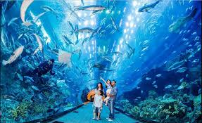 Jika belum, kini semua bisa anda rasakan di akuarium terbesar di dunia. 5 Indoor Aquarium Terindah Di Dunia Mister Aladin Travel Discoveries