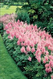 We did not find results for: Top 10 Flowers That Bloom All Year Container Gardens And Hanging Baskets Beautiful Gardens Shade Garden Plants