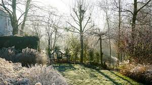 How to create a winter garden. How To Create A Classic Tailored Winter Garden
