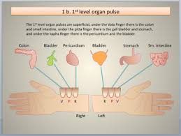 Ayurvedic Pulse Power Point