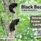 Black Bear in New Hampshire event image