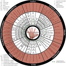 new assessment chart for the hand