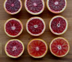 Balady citron israel citron citrus medica: Blood Orange Whiskey Sour Zenbelly
