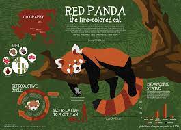 Red Panda Fact Sheet Infographic 2 Panda Habitat Animal Infographic Panda Facts