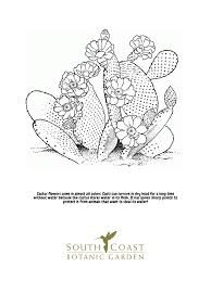 It features baja california and is part of our world landforms series! Seeds Of Fun Cherry Blossoms And Cactus Flower Coloring Pages South Coast Botanic Garden Foundation