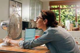 A female exec introduced 'Sally,' a portable fan, to her male coworkers  when she started having hot flashes. She's among women at 20% of companies  offering menopause benefits