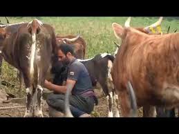 Ok.ru is tracked by us since april, 2011. Https M Ok Ru Dk St Cmd Usermain Tkn 3460 Prevcmd Friendmain Dp Y Youtube