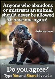 Pin By Louise Pittman On Pitbulls Save Animals Dog Quotes Dogs