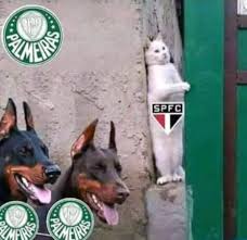 Confira todas as notícias dos campeonatos estaduais: Sao Paulo Vira Meme Ao Perder Classico E Descer Para A Quarta Colocacao Futebol Fera