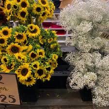 Find local 20 flower pickup & delivery service in adelaide. Supermarket Flowers Flowers Small Flowers Flower Shop
