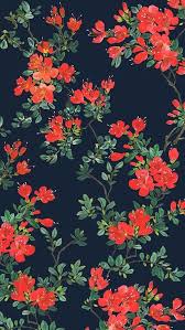 Pin By Rajeshwari On Flower Power Flower Wallpaper Floral Wallpaper Floral Wallpaper Iphone