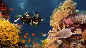The length of permits and endorsements drivers are required to obtain and hold a cdl in oregon if they operate in interstate, intrastate, or foreign commerce and drive a vehicle that. How To Start A Scuba Diving Business Truic