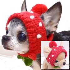 チワワ帽子 イチゴチワワのニット帽 チワワ小型犬ペットニット帽コスプレ服いちご 犬 服 ハンドメイド ペット用品 犬