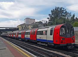 Image result for Gray 1995 Fleet