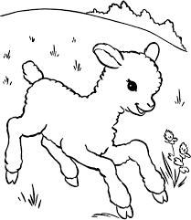 Maybe you would like to learn more about one of these? Lamb Coloring Sheet Coloring Home
