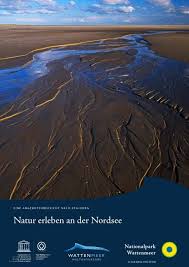 Nirgendwo sonst auf der welt gibt es eine landschaft wie in unserer heimat. Natur Erleben An Der Nordsee Nationalpark Wattenmeer