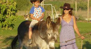 Guía de alojamientos rurales certificados en navarra: Casas Rurales Con Granjas De Animales Para Ir Con Ninos Revista De Viajes Para Disfrutar Con La Familia Viajes Con Ninos