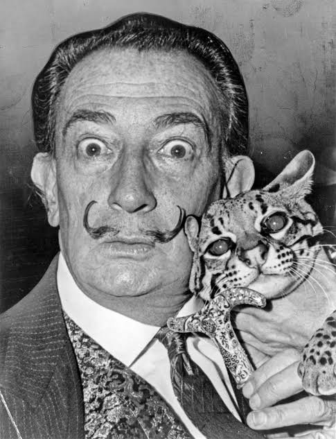 salvador dali