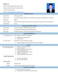 Image Result For Cambodian Cv For Apply Scholarship Cv Cover Letter What Is A Cv Lettering