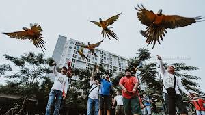 Check spelling or type a new query. 43 Gambar Burung Elang Terganas Hd Gambar Hewan