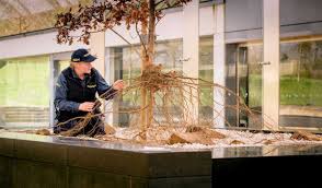 Wakehurst place is no ordinary botanic garden. Wakehurst Interspectral Powers Secret Structures Exhibit At Millennium Seed Bank Blooloop