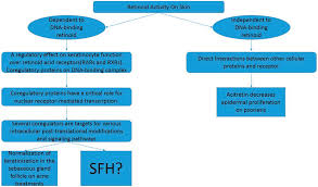 flow chart form diagram for the hypothesis posed regarding