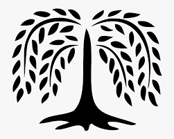 Willow trees are found near almost any body of water on runescape. Clipart Willow Tree Willow Tree Clipart Cartoon Willow Tree Silhouette Hd Png Download Transparent Png Image Pngitem