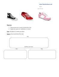 Shoe Classification Lab