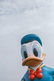 We did not find results for: 500 Donald Duck Pictures Hd Download Free Images On Unsplash