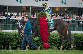 The 2017 derby is here and we have all the best information on picking the winner. Kentucky Derby 2017 In Photos Never Stop Dreaming