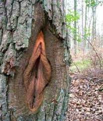 Sexe femme nature