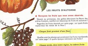 Orieux Everaere Lecons De Choses Ce 1952 Avec Images Lecon De Choses L Education Francaise Arbre Fruitier
