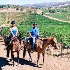 Contact me and lets talk about you and your horse's needs. Best Horse Stables Near Me July 2021 Find Nearby Horse Stables Reviews Yelp