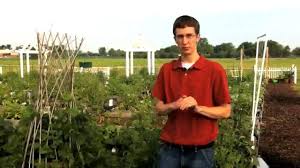 Check spelling or type a new query. How Often Should I Water My Garden Youtube