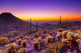Your one stop shop for finding and sharing a variety of amazing, thought provoking, and stunning wallpapers for your smartphones, tablets & other. Free Download Sunset Photo Courtesy Of Scottsdale Convention Visitors Bureau 2246x1497 For Your Desktop Mobile Tablet Explore 47 Wallpaper Scottsdale Az Wallpaper And Border Store Wallpaper Phoenix Az Wallpaper