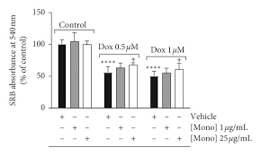 Image result for Afrostyrax lepidophyllus