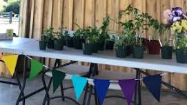 Blue Ridge Plant & Seed Swap